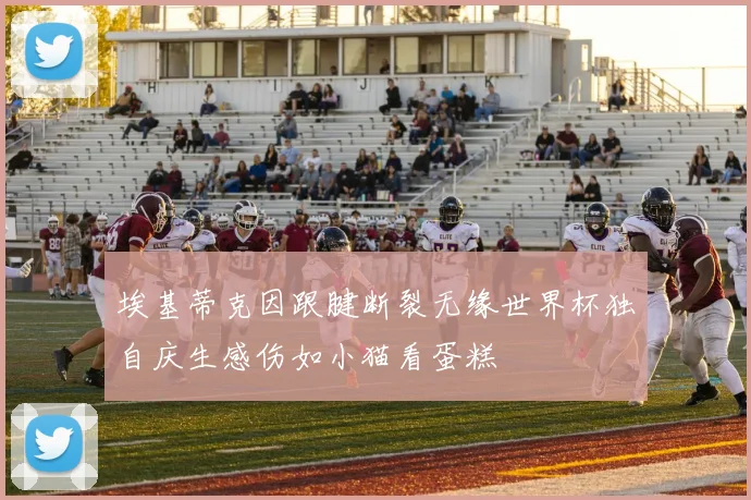 埃基蒂克因跟腱断裂无缘世界杯独自庆生感伤如小猫看蛋糕